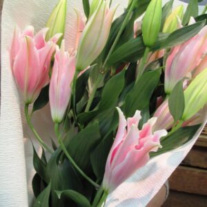 豪華なオリエンタルリリーの花束-ピンク系